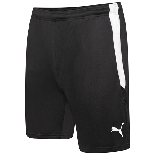 Puma Team Liga Shorts Black