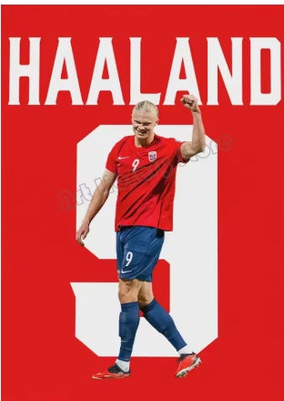 Haaland Norway Canvas Poster 90X60cm