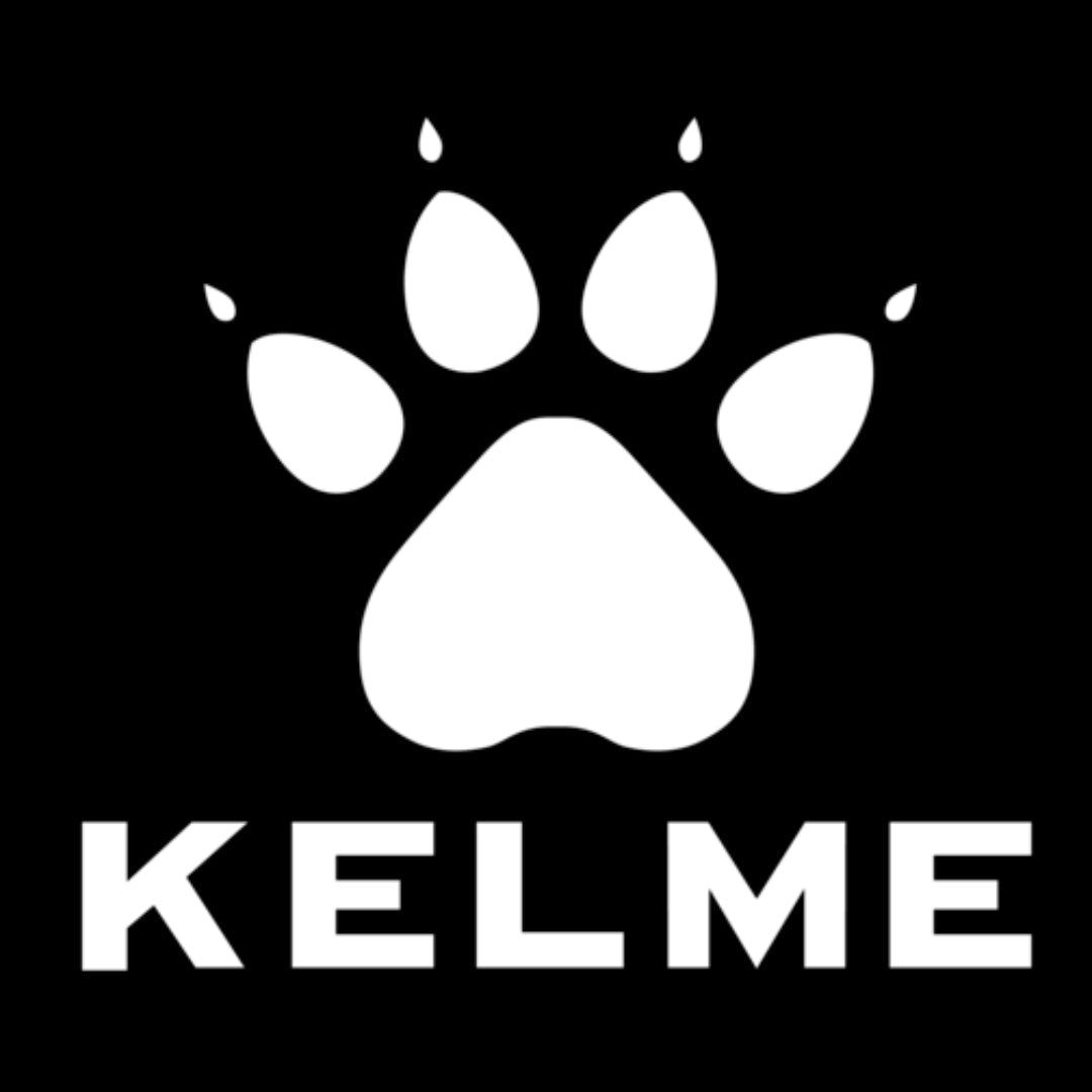 Kelme Futsal Shoes