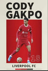 Gakpo Liverpool  Canvas Poster  45X30 cm
