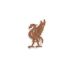 Liverpool Bird Jibbitz