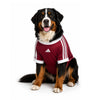 Liverpool FC 26/27 Pet Jersey