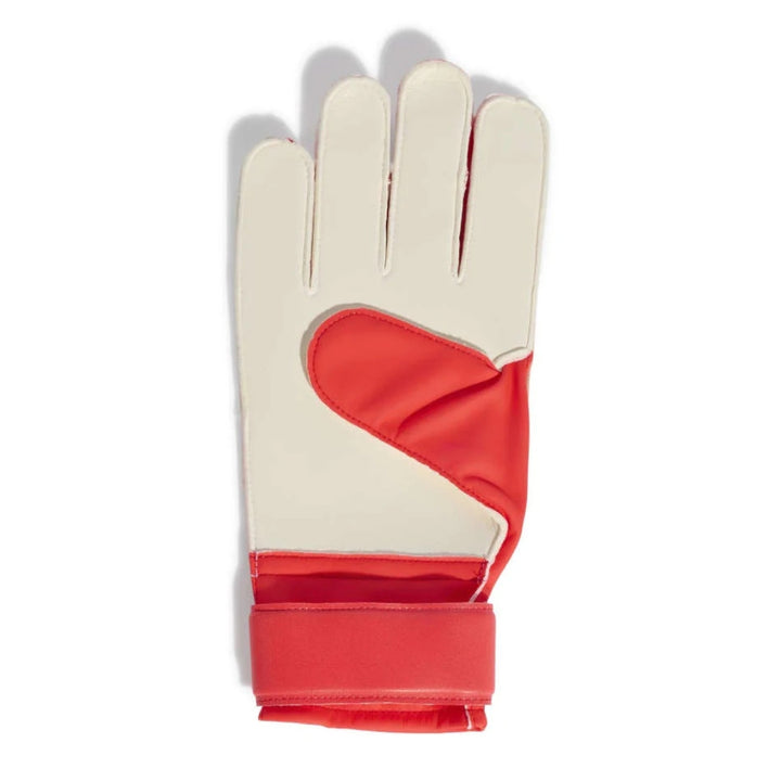 Predator Goalkeeper Training Glove - White / Red / Black