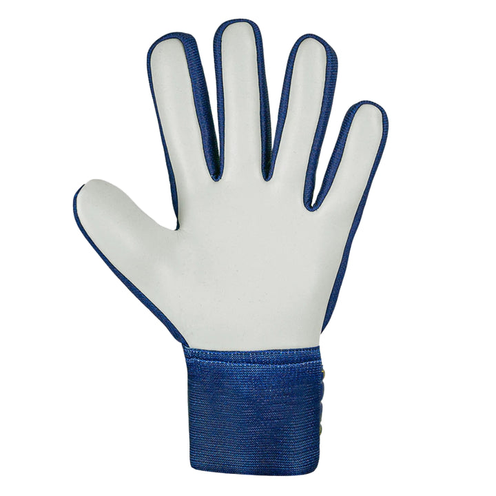 Reusch GK Gloves Junior - Starter - Blue / Yellow