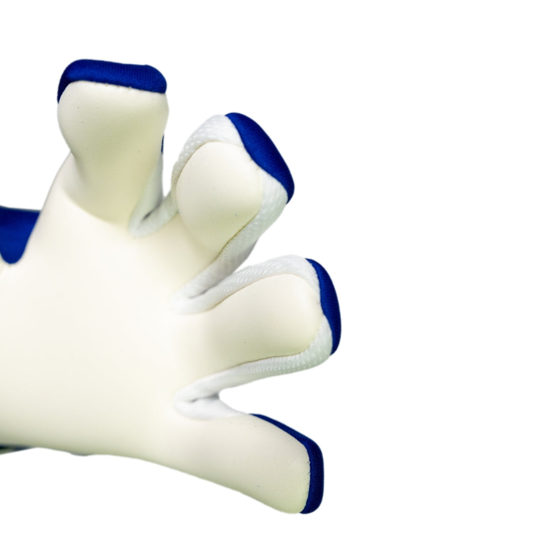 Reusch Fastgrip Advance - Sharp Blue / White