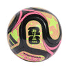 Colorful soccer ball with FIFA logo on a white background