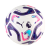 Puma Premier League 2026/27 Stellar Cup  Reactivity Ball - White