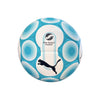 NZF Puma Culture Ball