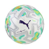 Colorful soccer ball with Puma logo and Premier League branding on a white background