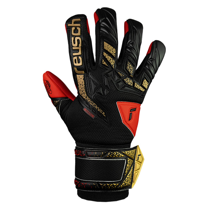 Black and red glove with gold accents on a white background