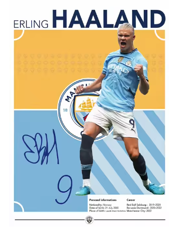 Haaland Canvas Poster 40cm x 30cm