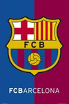 Barcelona Canvas Poster 42X30cm