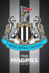 Newcastle  Canvas Poster 42X30cm