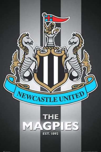 Newcastle  Canvas Poster 42X30cm