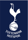 Tottenham Hotspur Canvas Poster 42X30cm