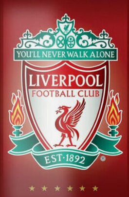 Liverpool Canvas Poster 42X30cm