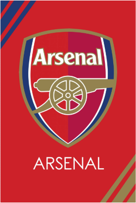 Arsenal Canvas Poster 42X30cm