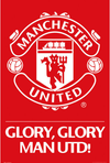 Manchester United Canvas Poster 42X30cm