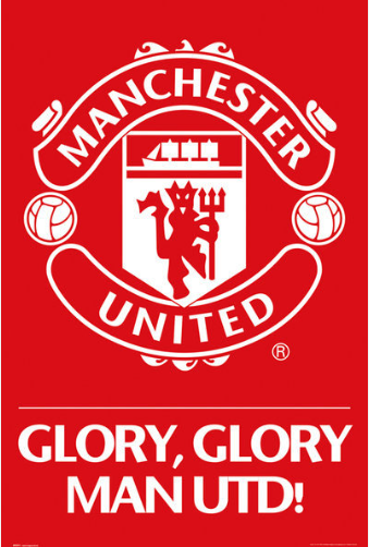 Manchester United Canvas Poster 42X30cm