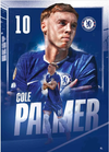 Cole Palmer Canvas Poster 42X30cm