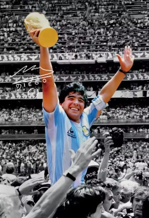 Maradona World Cup Canvas Poster 45X30cm