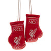 Liverpool FC Mini Boxing Gloves RD