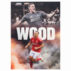 Chris Wood Canvas Poster 42X30c,